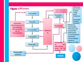 Influencias
             Compra                                                del entorno
                                           Reconocimiento          •Cultura
                                           de la necesidad
                                                                   •Clase
                    Exposición                                     social
                                          Búsqueda
                                                                   •Influencia
                                           interna
                                                                   s
                                                                   personales
                      Atención                                     •Familia
   Estímulos                                                       •Situación
•Dominado por el                                             Diferencia
                                          Búsqueda
  mercadólogo                                                individuales
 •No dominado                                                •Recursos del
                   Comprensión   Memori
     por el                                                  consumidor
  mercadólogo                      a                         •Motivación
                                                             •Conocimientos
                    Aceptación                               •Actitudes
                                                             •Personalidad,
                                                             valores y
                                          Evaluación         estilos de vida
                    Retención             de          las
                                          alternativas
                                          antes de la
                                          compra
   Búsqueda
    externa
 