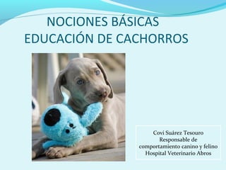 NOCIONES BÁSICAS
EDUCACIÓN DE CACHORROS

Covi Suárez Tesouro
Responsable de
comportamiento canino y felino
Hospital Veterinario Abros

 