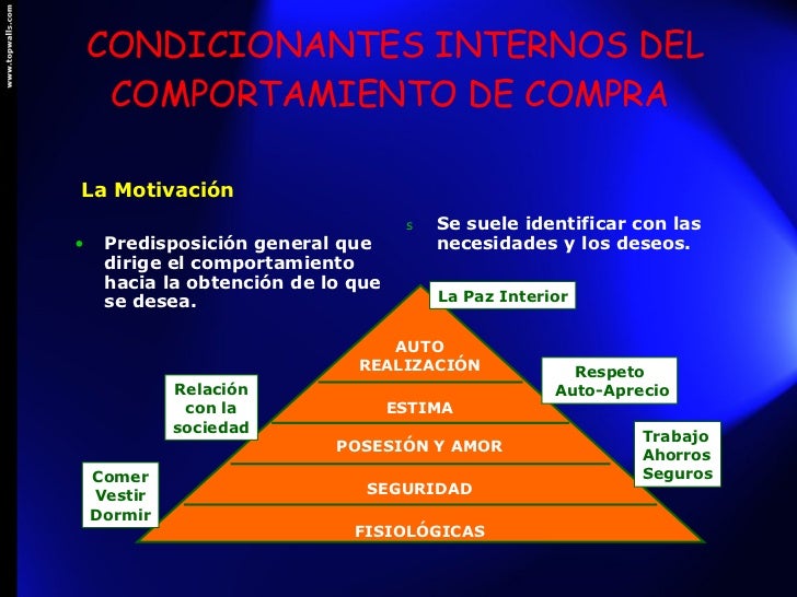 Factores que influyen en el comportamiento del consumidor ejemplos