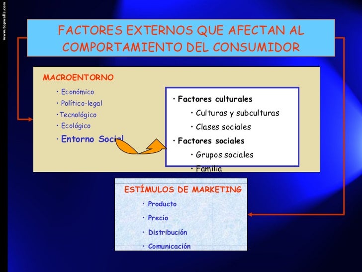Comportamiento Del Consumidor