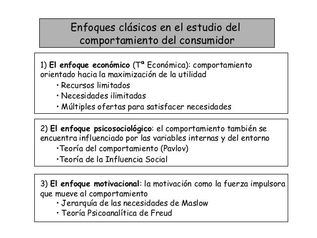 Comportamiento Del Consumidor