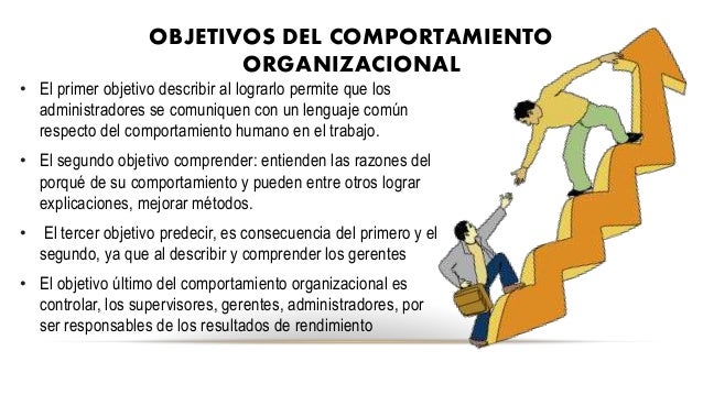 Comportamiento organizacional