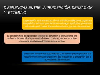 DIFERENCIAS ENTRE LA PERCEPCIÓN, SENSACIÓN
Y ESTÍMULO
La percepción es el proceso por el cual un individuo selecciona, organiza e
interpreta los estímulos para formarse una imagen significativa y coherente
del mundo que lo rodea. Nace de los estímulos y provoca la sensacion
La sensación: Nace de la percepción sensorial que consiste en la estimulación de una
célula sensorial especializada por un estímulo (externo o interno), que a su vez activa a
una neurona sensitiva generándose un impulso nervioso.
El estímulo: Nace de los factores externo o interno capaz de provocar una
reacción en una célula u organismo. Esa reacción es la percepción que a
su vez genera la sensación.
 