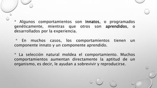 * Algunos comportamientos son innatos, o programados
genéticamente, mientras que otros son aprendidos, o
desarrollados por la experiencia.
* En muchos casos, los comportamientos tienen un
componente innato y un componente aprendido.
* La selección natural moldea el comportamiento. Muchos
comportamientos aumentan directamente la aptitud de un
organismo, es decir, le ayudan a sobrevivir y reproducirse.
 