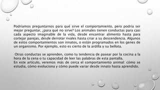 Podríamos preguntarnos para qué sirve el comportamiento, pero podría ser
mejor preguntar, ¿para qué no sirve? Los animales tienen conductas para casi
cada aspecto imaginable de la vida, desde encontrar alimento hasta para
cortejar parejas, desde derrotar rivales hasta criar a su descendencia. Algunos
de estos comportamientos son innatos, o están programados en los genes de
un organismo. Por ejemplo, esto es cierto de la ardilla y su bellota.
Otras conductas se aprenden, como tu tendencia de pasear por la cocina a la
hora de la cena o tu capacidad de leer las palabras de esta pantalla.
En este artículo, veremos más de cerca el comportamiento animal: cómo se
estudia, cómo evoluciona y cómo puede variar desde innato hasta aprendido.
 