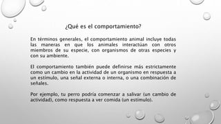 ¿Qué es el comportamiento?
En términos generales, el comportamiento animal incluye todas
las maneras en que los animales interactúan con otros
miembros de su especie, con organismos de otras especies y
con su ambiente.
El comportamiento también puede definirse más estrictamente
como un cambio en la actividad de un organismo en respuesta a
un estímulo, una señal externa o interna, o una combinación de
señales.
Por ejemplo, tu perro podría comenzar a salivar (un cambio de
actividad), como respuesta a ver comida (un estímulo).
 