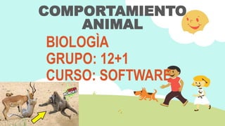 COMPORTAMIENTO
ANIMAL
BIOLOGÌA
GRUPO: 12+1
CURSO: SOFTWARE
 