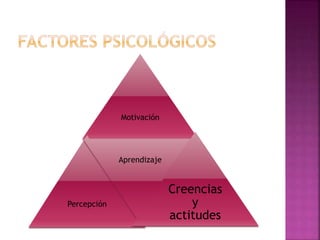 Motivación
Percepción
Aprendizaje
Creencias
y
actitudes
 