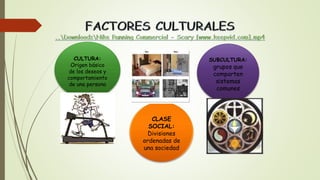 CULTURA:
Origen básico
de los deseos y
comportamiento
de una persona
CLASE
SOCIAL:
Divisiones
ordenadas de
una sociedad
SUBCULTURA:
grupos que
comparten
sistemas
comunes
 