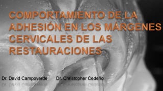 Dr. David Campoverde Dr. Christopher Cedeño
 