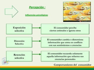 ¿  Cual  es  el  negocio  ?GCM