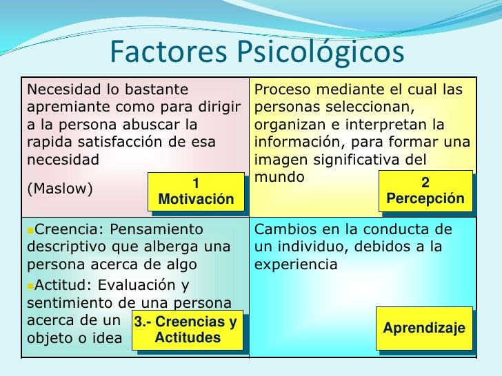 Comportamiento Del Consumidor