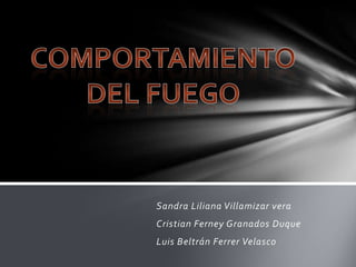 Sandra Liliana Villamizar vera
Cristian Ferney Granados Duque

Luis Beltrán Ferrer Velasco

 
