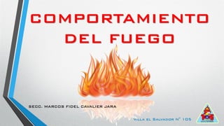 COMPORTAMIENTO
DEL FUEGO
Villa el Salvador N° 105
SECC. MARCOS FIDEL CAVALIER JARA
 