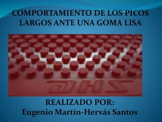 COMPORTAMIENTO DE LOS PICOS
LARGOS ANTE UNA GOMA LISA
REALIZADO POR:
Eugenio Martín-Hervás Santos
 