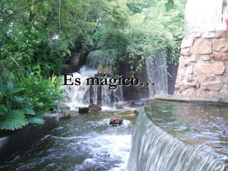 Es mágico…
 