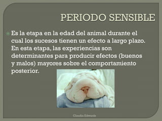 Es la etapa en la edad del animal durante el
cual los sucesos tienen un efecto a largo plazo.
En esta etapa, las experiencias son
determinantes para producir efectos (buenos
y malos) mayores sobre el comportamiento
posterior.
Claudia Edwards
 