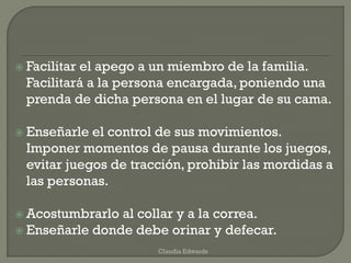 Facilitar el apego a un miembro de la familia.
Facilitará a la persona encargada, poniendo una
prenda de dicha persona en el lugar de su cama.
 Enseñarle el control de sus movimientos.
Imponer momentos de pausa durante los juegos,
evitar juegos de tracción, prohibir las mordidas a
las personas.
 Acostumbrarlo al collar y a la correa.
 Enseñarle donde debe orinar y defecar.
Claudia Edwards
 