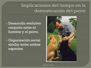  Desarrollo evolutivo
conjunto entre el
hombre y el perro.
 Organización social
similar entre ambas
especies
Alberto Tejeda
 