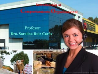 Introducción al  C omportamiento  O rganizacional Profesor:  Dra. Saralina Ruiz Carús 