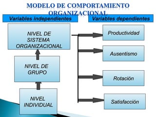 NIVELNIVEL
INDIVIDUALINDIVIDUAL
NIVEL DENIVEL DE
GRUPOGRUPO
NIVEL DENIVEL DE
SISTEMASISTEMA
ORGANIZACIONALORGANIZACIONAL
ProductividadProductividad
AusentismoAusentismo
RotaciónRotación
SatisfacciónSatisfacción
Variables independientes Variables dependientes
 