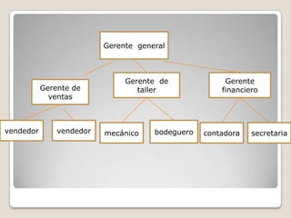 Gerente generalGerente de tallerGerente financieroGerente de ventasvendedorvendedorbodegueromecánicocontadorasecretaria