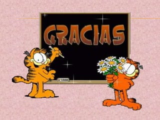 Comportamientos digitales 10-02