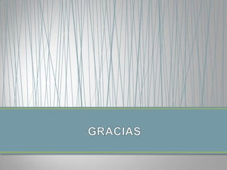 Comportamientos digitales