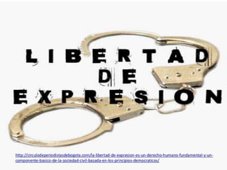 Comportamientos digitales