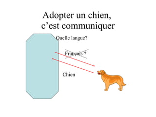 Adopter un chien,  c’est communiquer Français ? Chien ? Quelle langue? 
