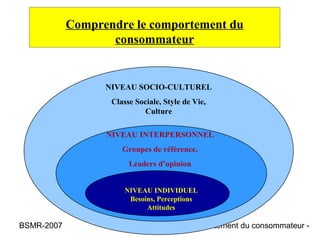 Comprendre le comportement du
                   consommateur


                  NIVEAU SOCIO-CULTUREL
                   Classe Sociale, Style de Vie,
                            Culture

                  NIVEAU INTERPERSONNEL
                      Groupes de référence,
                        Leaders d’opinion


                       NIVEAU INDIVIDUEL
                        Besoins, Perceptions
                             Attitudes

BSMR-2007          Psychosociologie du comportement du consommateur -
 