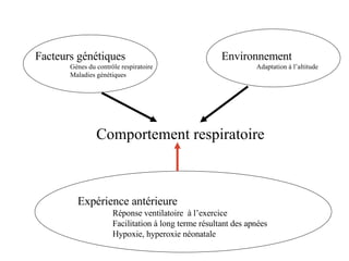 Comportement respiratoire Facteurs génétiques Gènes du contrôle respiratoire Maladies génétiques Environnement Adaptation à l’altitude Expérience antérieure Réponse ventilatoire  à l’exercice Facilitation à long terme résultant des apnées Hypoxie, hyperoxie néonatale   
