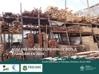 thumbnail of  Suivi des marchés urbains de bois à Kisangani en 2024