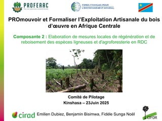 thumbnail of Elaboration de mesures locales de régénération et de reboisement des espèces ligneuses et d'agroforesterie en RDC