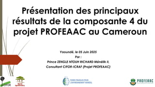 thumbnail of  Composante 4: Présentation des principaux résultats de la composante 4 du projet PROFEAAC au Cameroun