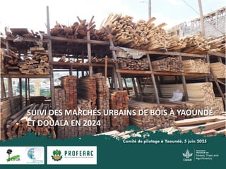 thumbnail of  Composante 5: Suivi des marchés urbains du bois à Yaoundé et Douala en 2024