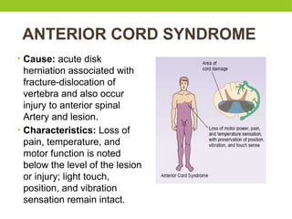 ANTERIOR CORD SYNDROME
• Cause: acute disk
herniation associated with
fracture-dislocation of
vertebra and also occur
injury to anterior spinal
Artery and lesion.
• Characteristics: Loss of
pain, temperature, and
motor function is noted
below the level of the lesion
or injury; light touch,
position, and vibration
sensation remain intact.
 