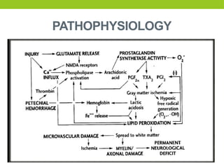 PATHOPHYSIOLOGY
 