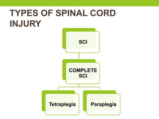 TYPES OF SPINAL CORD
INJURY
SCI
COMPLETE
SCI
Tetraplegia Paraplegia
 