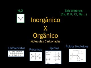 Inorgânico
Orgânico
X
H2O Sais Minerais
(Ca, P, K, Cl, Na...)
Carboidratos LípidiosProteínas
Ácidos Nucleicos
Moléculas Carbonadas
 