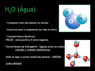 H2O (Água)
• Composto mais abundante na células
• Essencial para o surgimento da vida na Terra
• Características Químicas:
POLAR – zona positiva X zona negativa
Forma Pontes de Hidrogênio – ligação entre as moléculas
COESÃO e TENSÃO SUPERFICIAL
Pode se ligar a outras moléculas polares – ADESÃO
CAPILARIDADE
 
