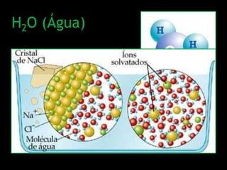 H2O (Água)
• SOLVENTE UNIVERSAL – dissolve uma
grande diversidade de substâncias, pois
possui um dipolo elétrico
• Substâncias Hidrofílicas:
são dissolvidas pela água (POLARES)
Sais, açúcares, proteínas...
• Substâncias Hidrofóbicas:
não são dissolvidas pela água (APOLARES)
Gorduras, óleo...
 