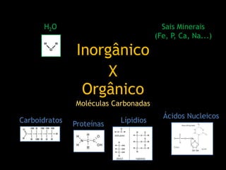 Inorgânico
Orgânico
X
H2O Sais Minerais
(Fe, P, Ca, Na...)
Carboidratos LípidiosProteínas
Ácidos Nucleicos
Moléculas Carbonadas
 