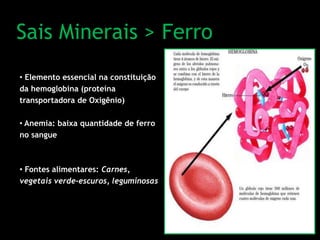 Sais Minerais > Ferro
• Elemento essencial na constituição
da hemoglobina (proteína
transportadora de Oxigênio)
• Anemia: baixa quantidade de ferro
no sangue
• Fontes alimentares: Carnes,
vegetais verde-escuros, leguminosas
 