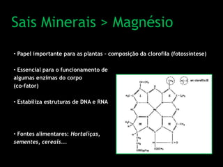 Sais Minerais > Magnésio
• Papel importante para as plantas – composição da clorofila (fotossíntese)
• Essencial para o funcionamento de
algumas enzimas do corpo
(co-fator)
• Estabiliza estruturas de DNA e RNA
• Fontes alimentares: Hortaliças,
sementes, cereais...
 