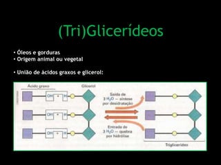 (Tri)Glicerídeos
• Óleos e gorduras
• Origem animal ou vegetal
• União de ácidos graxos e glicerol:
 