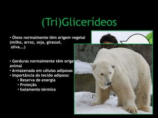 • Óleos normalmente têm origem vegetal
(milho, arroz, soja, girassol,
oliva...)
• Gorduras normalmente têm origem
animal
• Armazenada em células adiposas
• Importância do tecido adiposo:
• Reserva de energia
• Proteção
• Isolamento térmico
(Tri)Glicerídeos
 