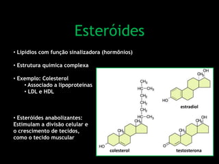Esteróides
• Lipídios com função sinalizadora (hormônios)
• Estrutura química complexa
• Exemplo: Colesterol
• Associado a lipoproteínas
• LDL e HDL
• Esteróides anabolizantes:
Estimulam a divisão celular e
o crescimento de tecidos,
como o tecido muscular
estradiol
colesterol testosterona
 