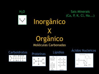 Inorgânico
Orgânico
X
H2O Sais Minerais
(Ca, P, K, Cl, Na...)
Carboidratos LípidiosProteínas
Ácidos Nucleicos
Moléculas Carbonadas
 