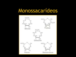Monossacarídeos
 